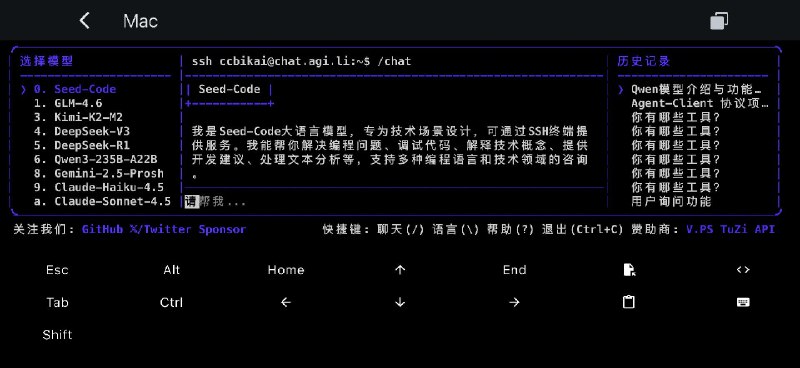 目前已经有 GLM K2 Doubao Minimax 的  Coding Plan 来给 Codex 做替补了 😄