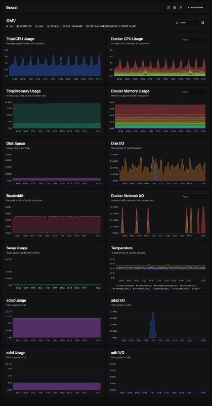 Homelab 使用 Prometheus 来部署监控系统太占资源了，最近使用的 Beszel 很小巧